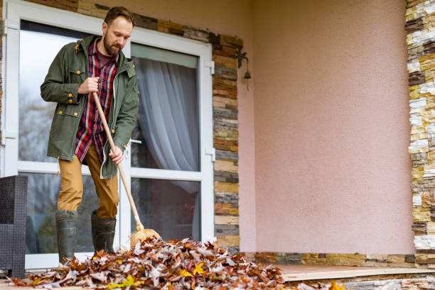 Best Dumpster Rental Services  in Cary, NC